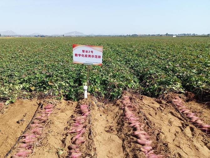 99905���ӹٷ�(�й���)���޹�˾��վ