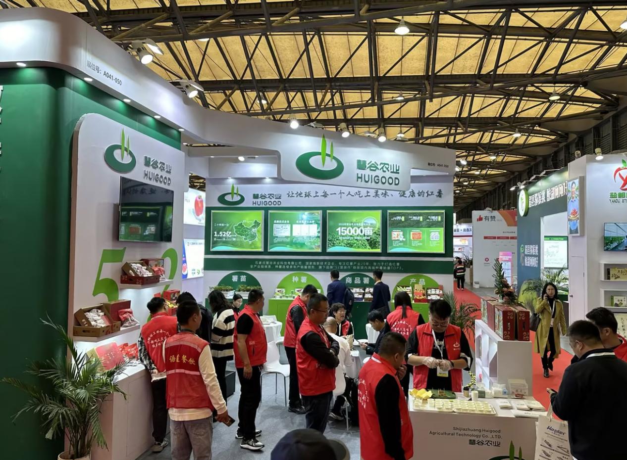 99905���ӹٷ�(�й���)���޹�˾��վ