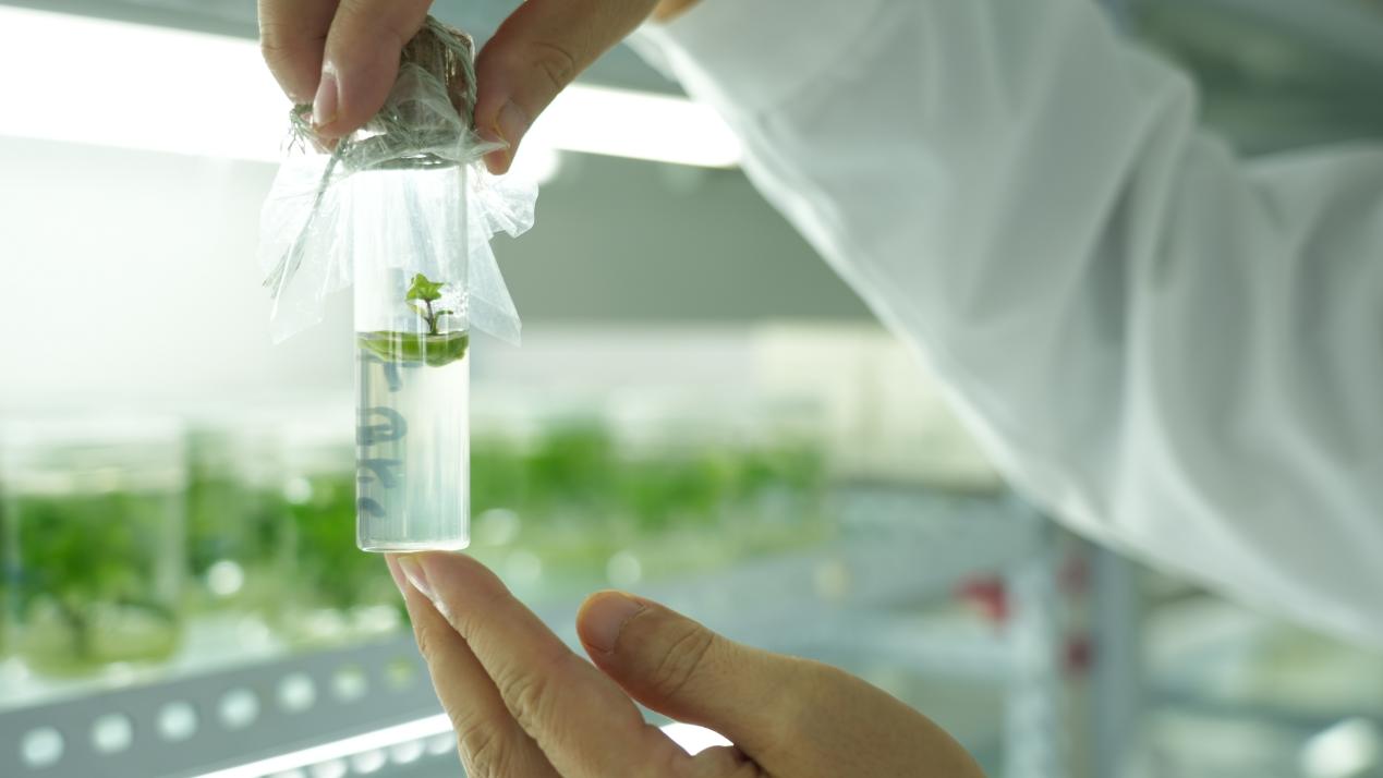 99905���ӹٷ�(�й���)���޹�˾��վ