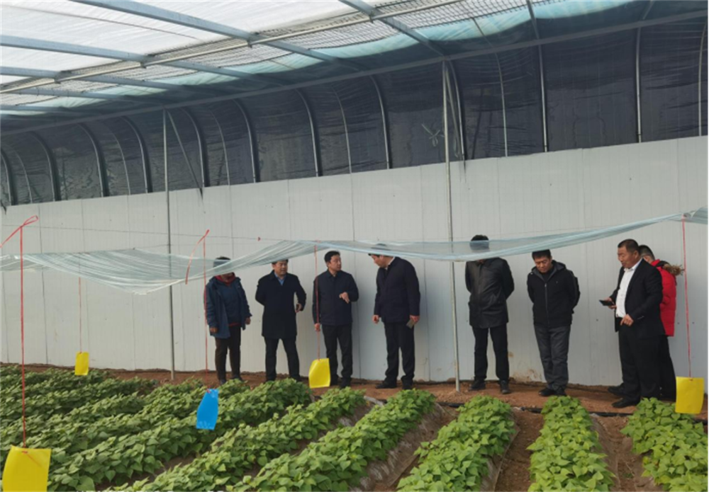 99905���ӹٷ�(�й���)���޹�˾��վ