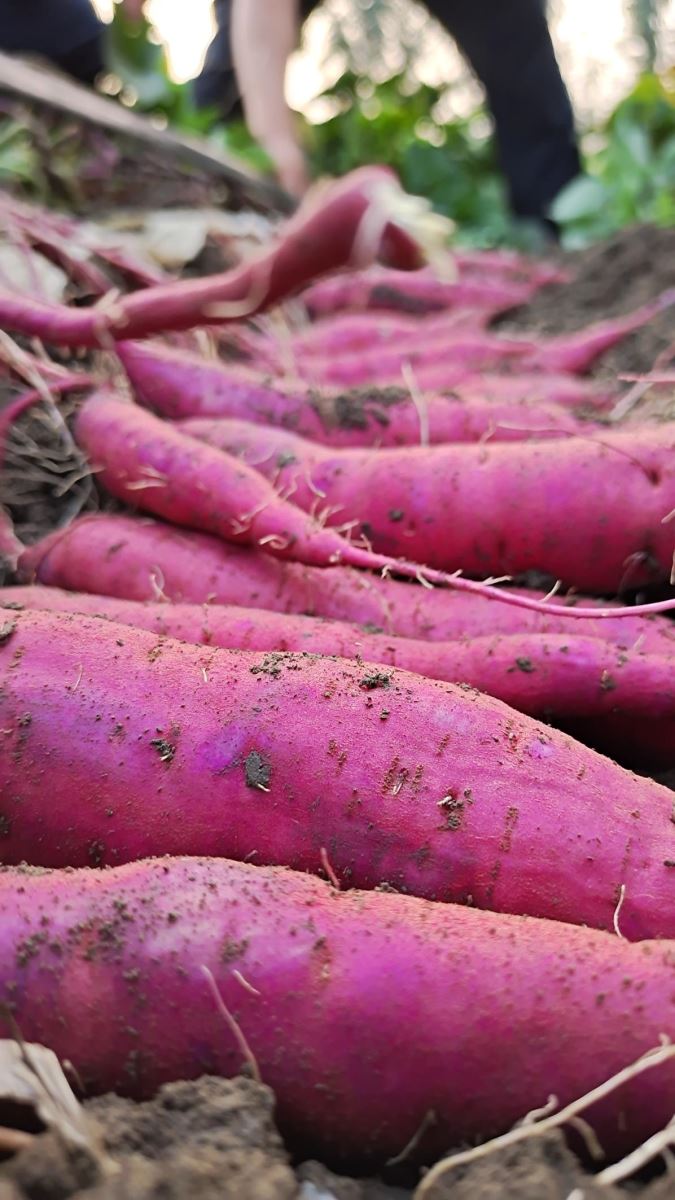 99905���ӹٷ�(�й���)���޹�˾��վ