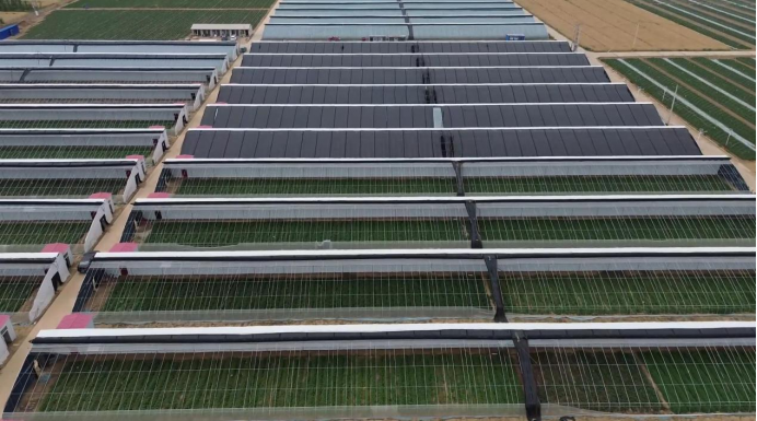 99905���ӹٷ�(�й���)���޹�˾��վ