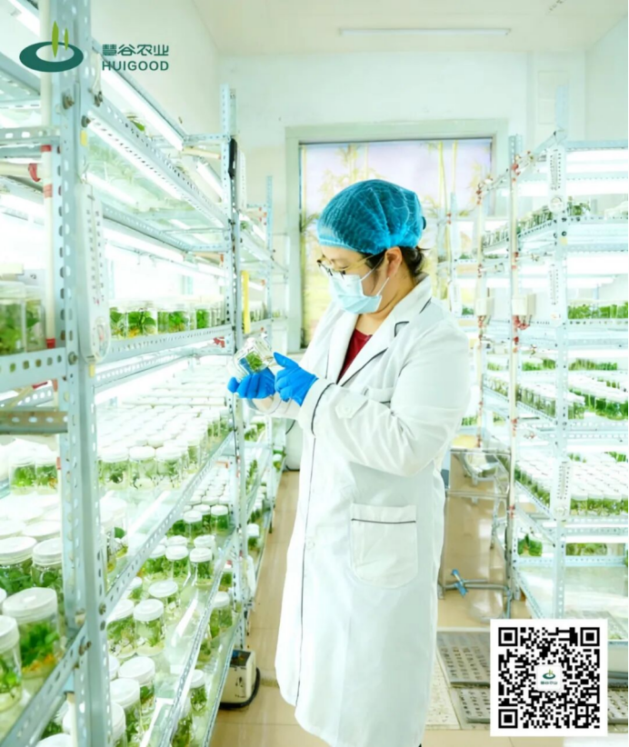 99905���ӹٷ�(�й���)���޹�˾��վ