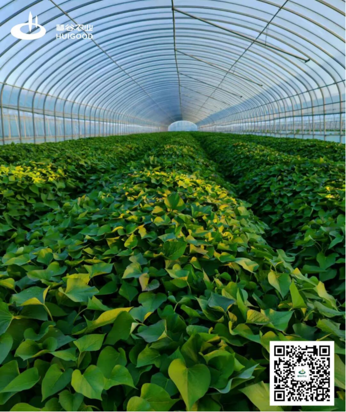 99905���ӹٷ�(�й���)���޹�˾��վ