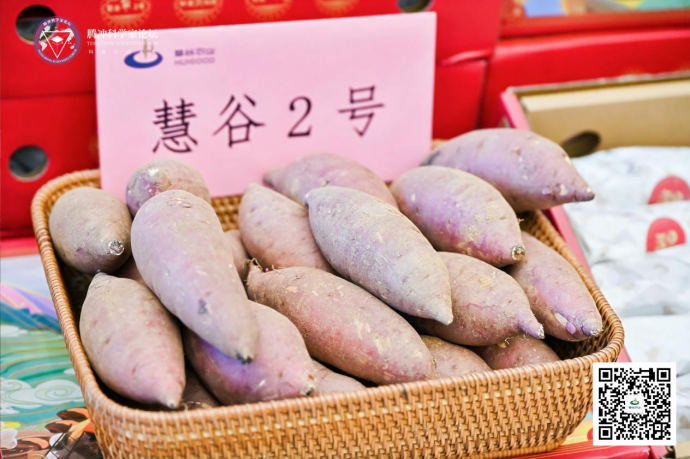 99905���ӹٷ�(�й���)���޹�˾��վ