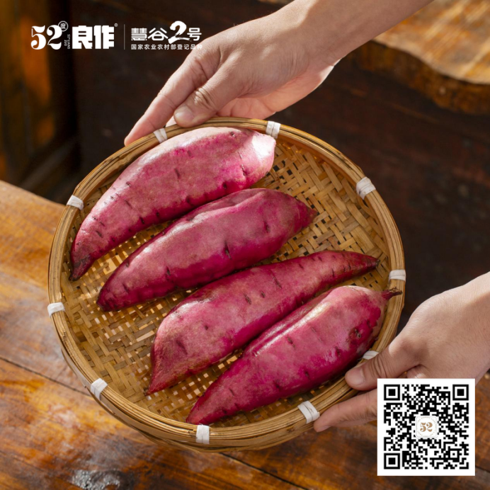 99905���ӹٷ�(�й���)���޹�˾��վ