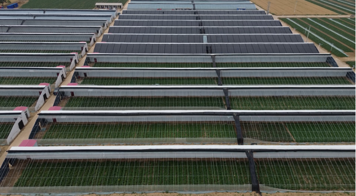 99905���ӹٷ�(�й���)���޹�˾��վ