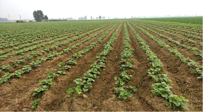 99905���ӹٷ�(�й���)���޹�˾��վ