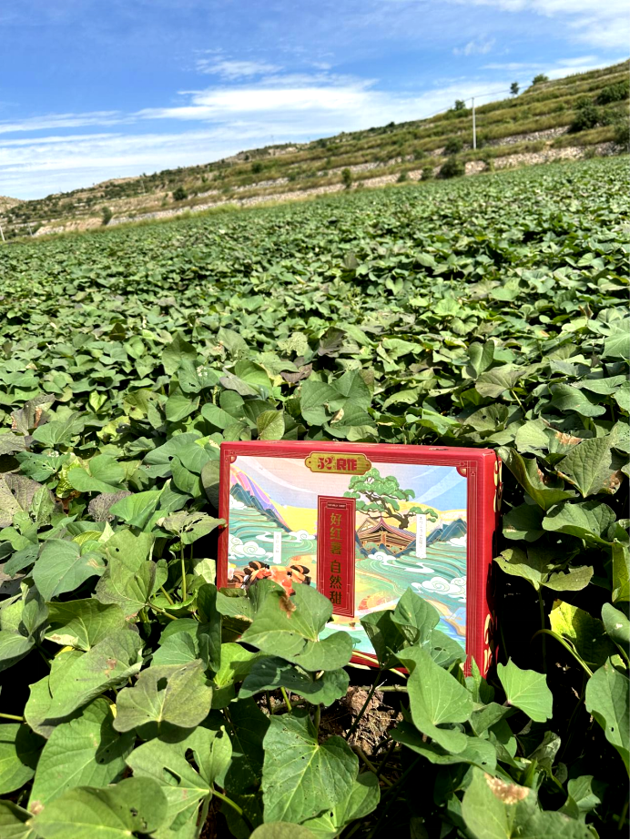 99905���ӹٷ�(�й���)���޹�˾��վ