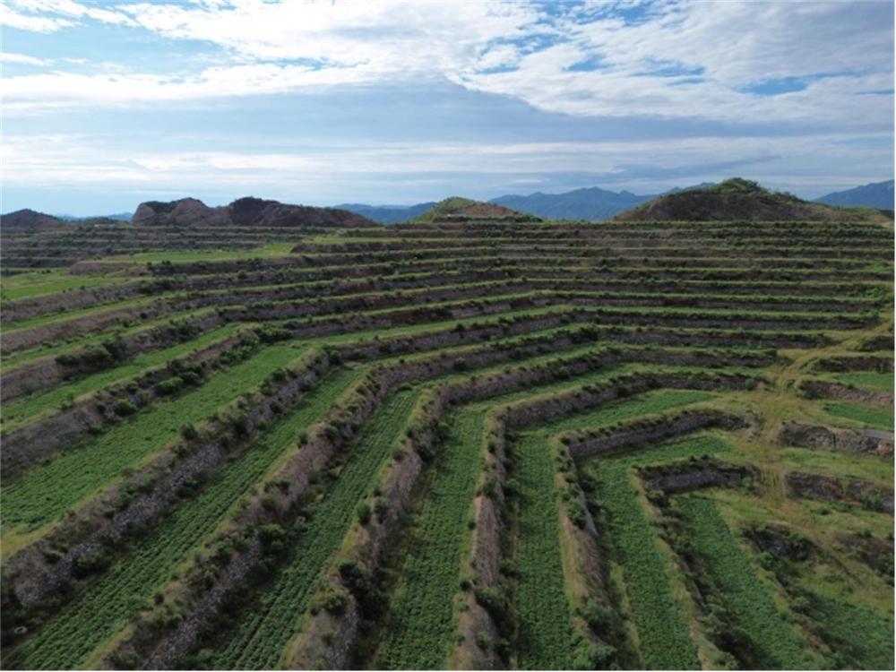 99905���ӹٷ�(�й���)���޹�˾��վ