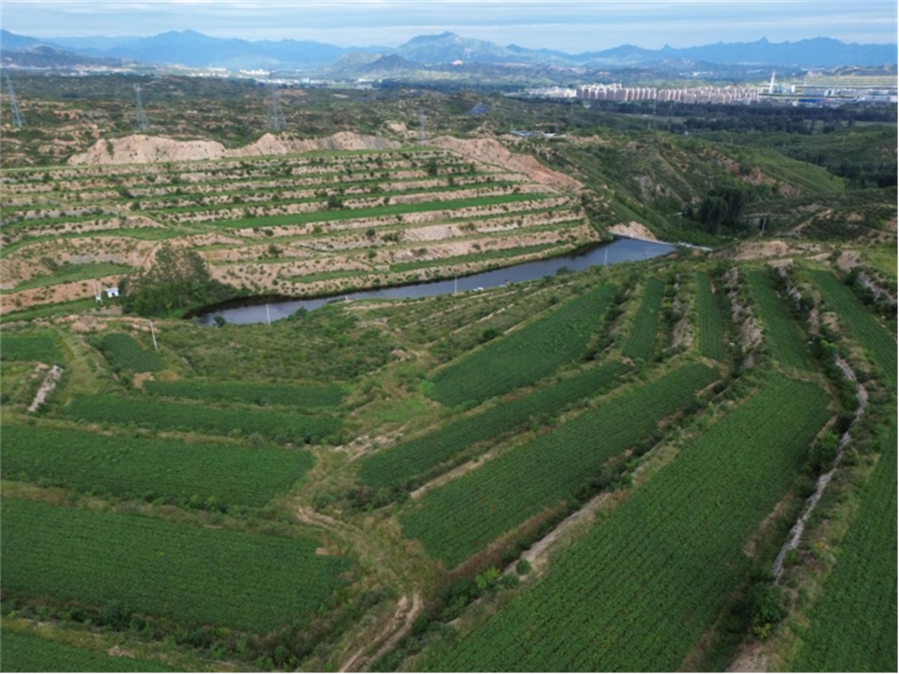 99905���ӹٷ�(�й���)���޹�˾��վ