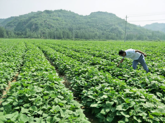 99905���ӹٷ�(�й���)���޹�˾��վ