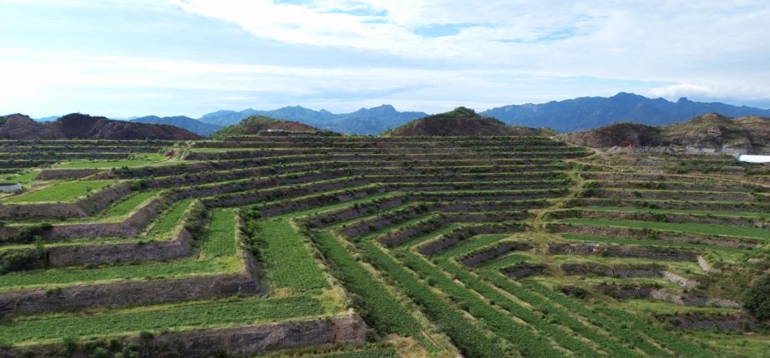 99905���ӹٷ�(�й���)���޹�˾��վ