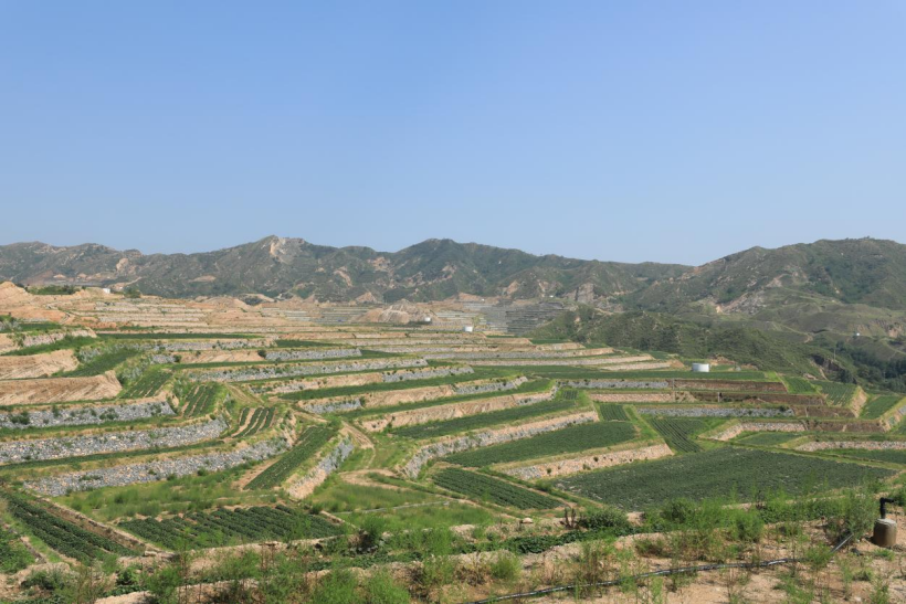 99905���ӹٷ�(�й���)���޹�˾��վ