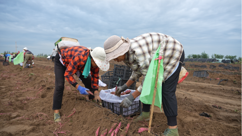 99905���ӹٷ�(�й���)���޹�˾��վ