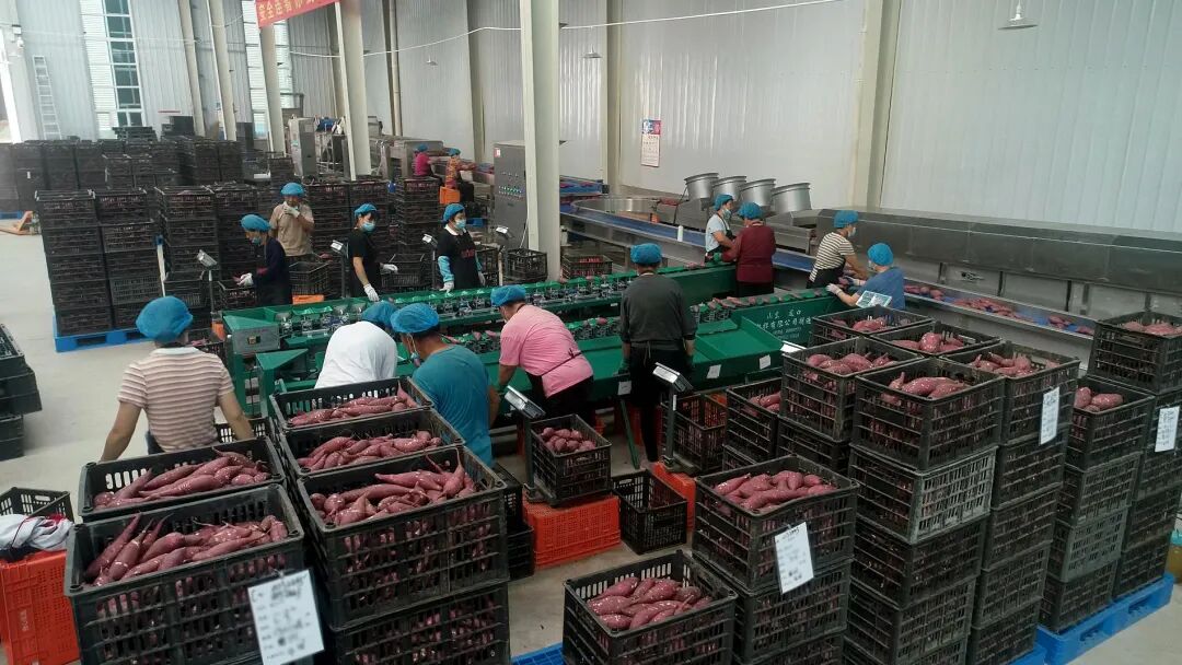 99905���ӹٷ�(�й���)���޹�˾��վ