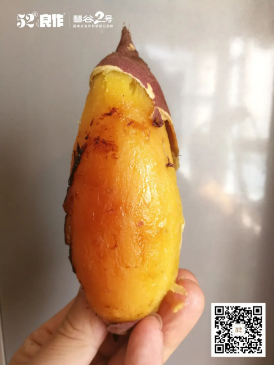 99905���ӹٷ�(�й���)���޹�˾��վ