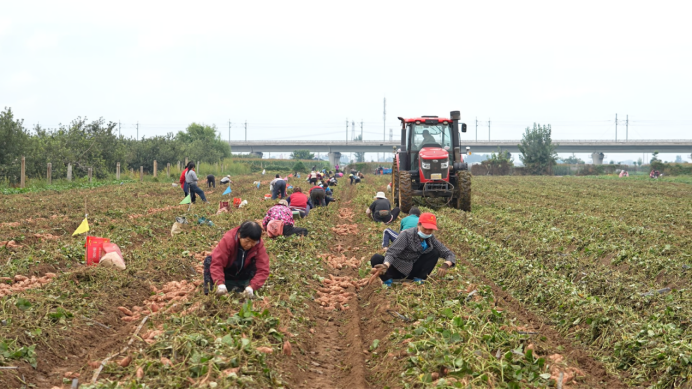 99905���ӹٷ�(�й���)���޹�˾��վ