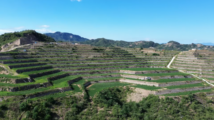 99905���ӹٷ�(�й���)���޹�˾��վ