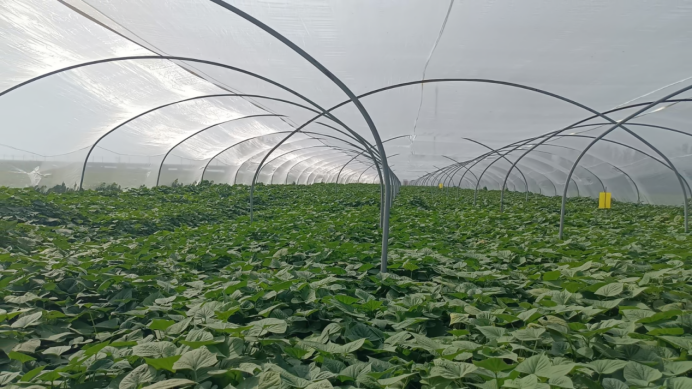 99905���ӹٷ�(�й���)���޹�˾��վ