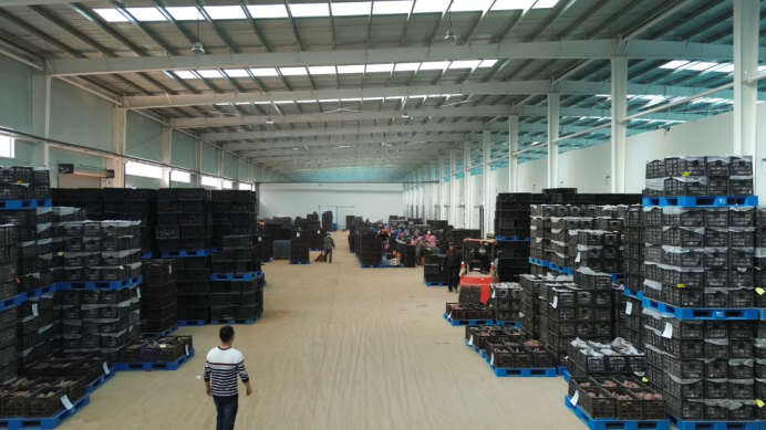 99905���ӹٷ�(�й���)���޹�˾��վ