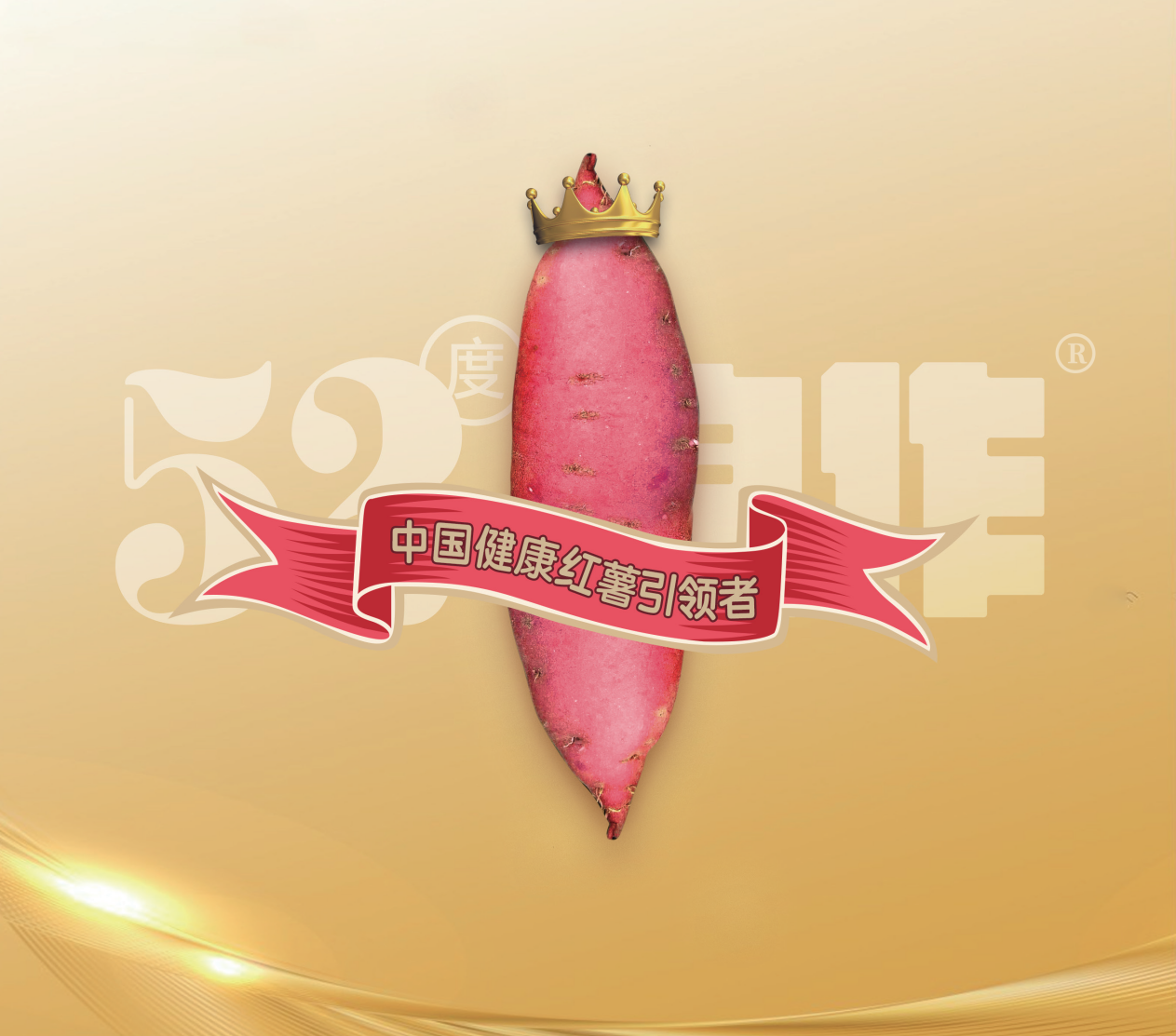 99905���ӹٷ�(�й���)���޹�˾��վ