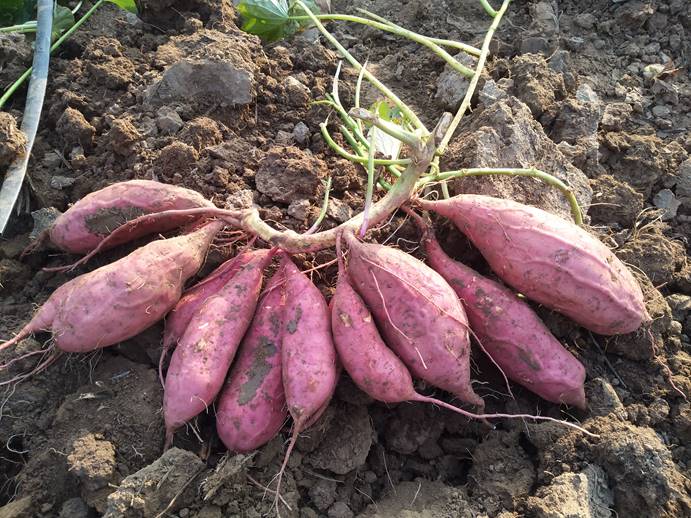 99905���ӹٷ�(�й���)���޹�˾��վ