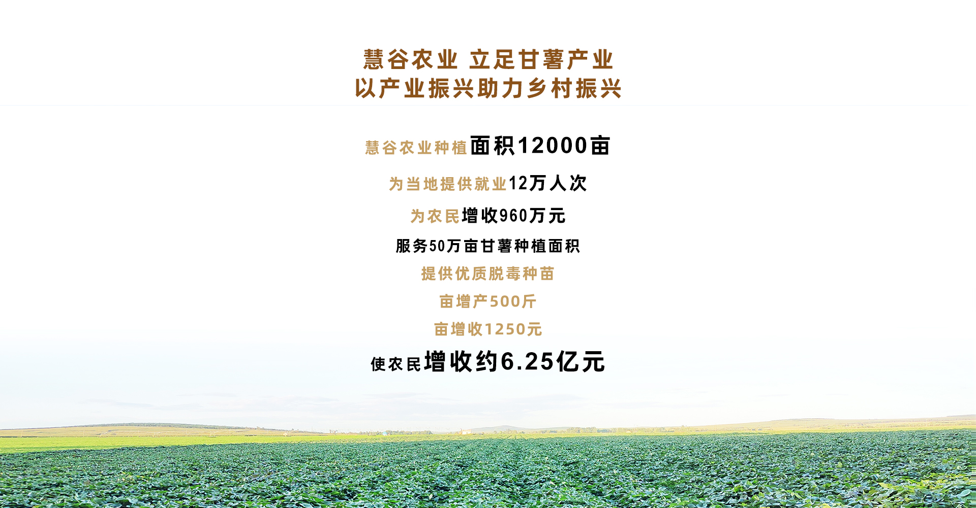 99905���ӹٷ�(�й���)���޹�˾��վ