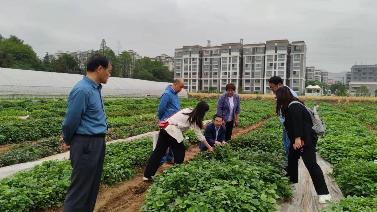 99905���ӹٷ�(�й���)���޹�˾��վ